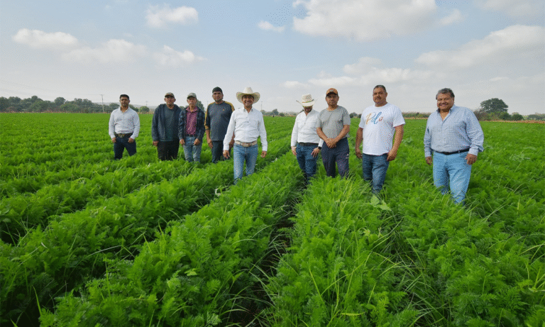 Supervisa apoyo al campo
