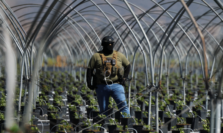 Redadas migratorias en California dejan 100 detenidos