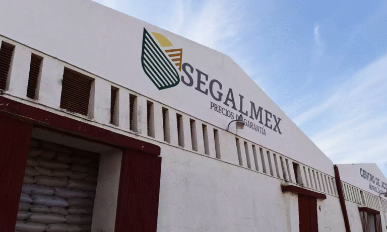 Zacatecas lidera acopio nacional