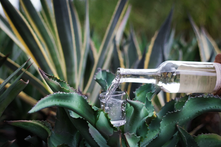 Festival del Mezcal busca fortalecer economía local